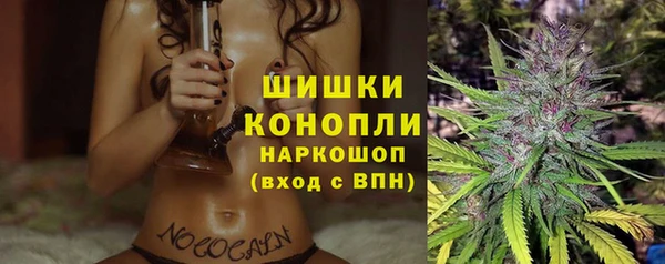 гидра Мегион