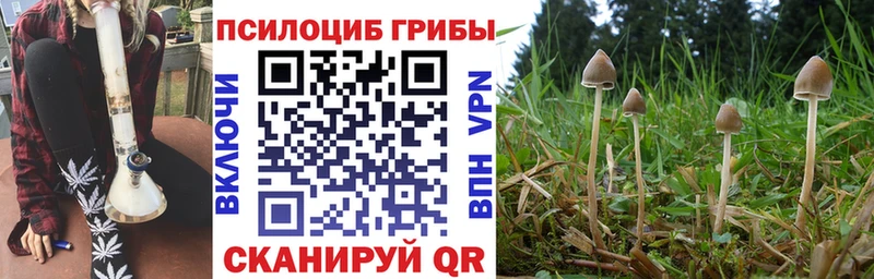 Галлюциногенные грибы Cubensis  KRAKEN как войти  Анапа 
